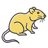 Дератизация